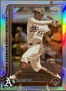 Miguel Andujar