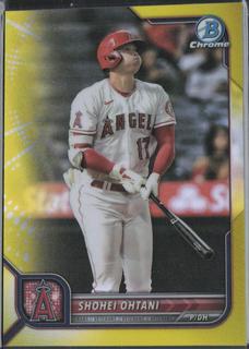 Shohei Ohtani