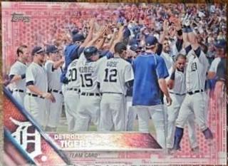 Detroit Tigers