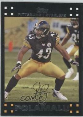 Troy Polamalu #247
