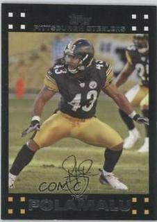 Troy Polamalu