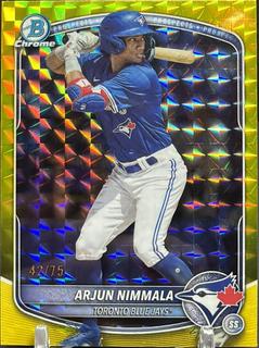 Arjun Nimmala