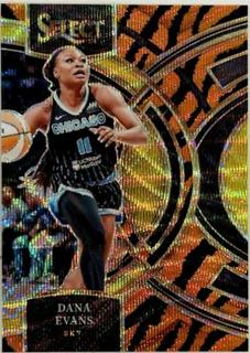 Dana Evans