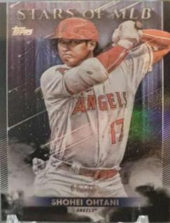 Shohei Ohtani