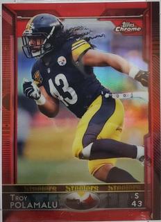 Troy Polamalu