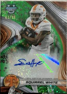 Squirrel White