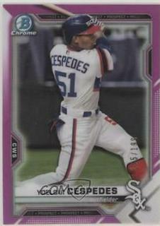 Yoelqui Cespedes