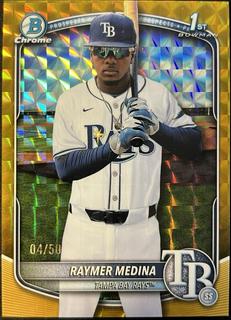 Raymer Medina