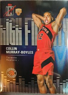 Collin Murray-Boyles