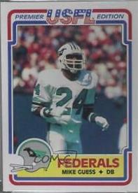 Mike Guess