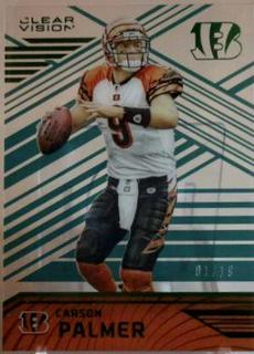 Carson Palmer