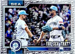 You 'Sea' That?