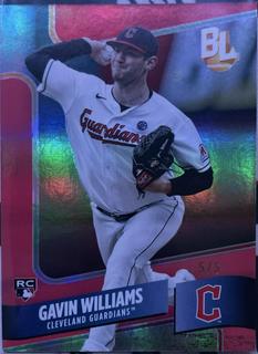 Gavin Williams
