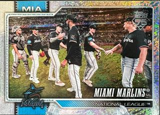 Team Card