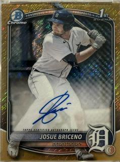Josue Briceno