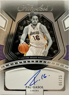 Pau Gasol