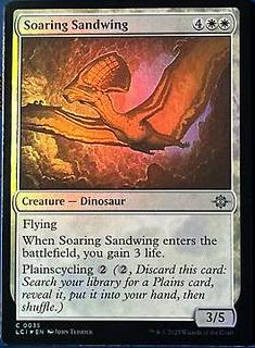 Soaring Sandwing