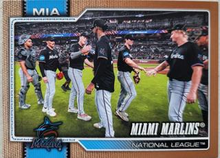 Team Card