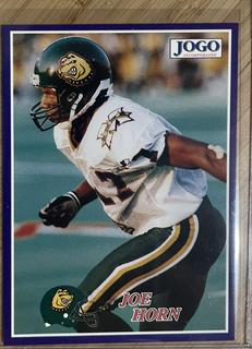 Joe Horn