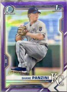 Shane Panzini