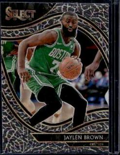 Jaylen Brown