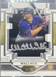 Matt Wallner