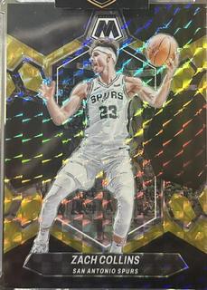 Zach Collins