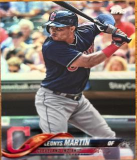 Leonys Martin