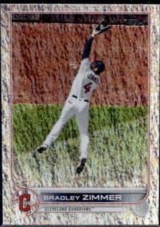 Bradley Zimmer