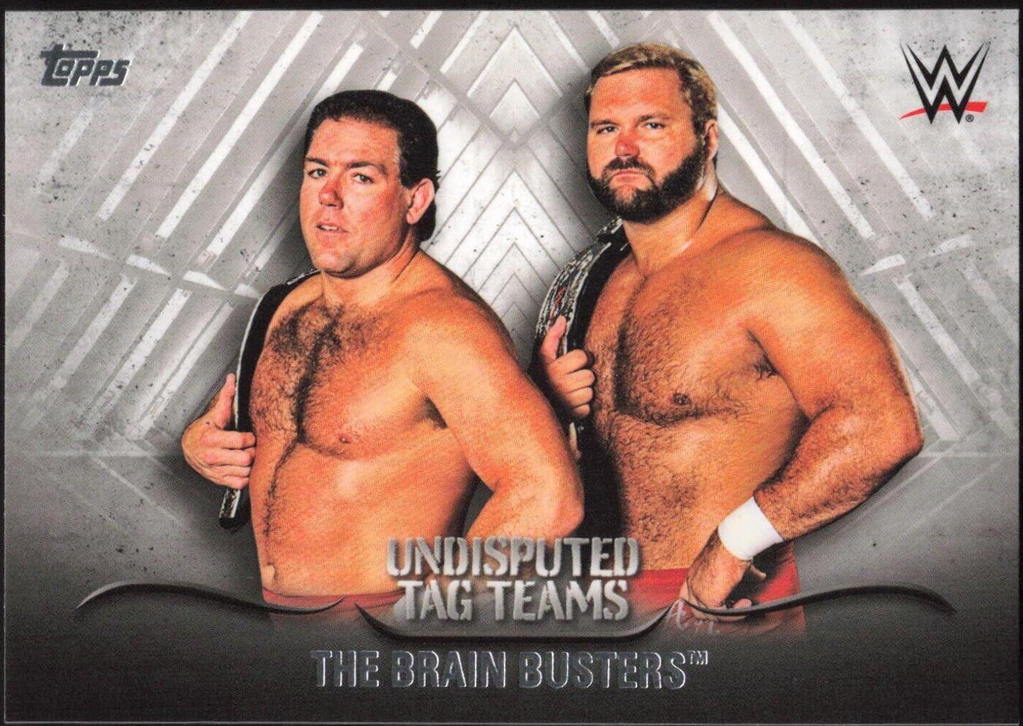 The Brain Busters #UTT-5 Wrestling Cards 2016 Topps WWE Undisputed Tag Teams