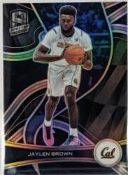 Jaylen Brown