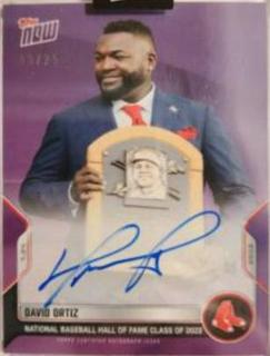David Ortiz