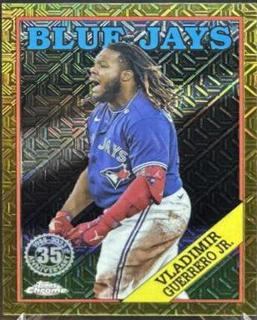 Vladimir Guerrero Jr.
