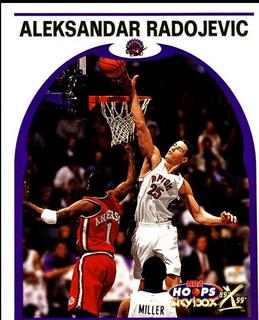 Aleksandar Radojevic