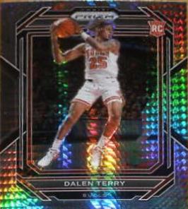 Dalen Terry
