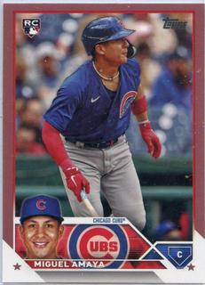 Miguel Amaya