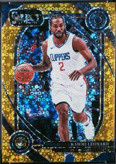 Kawhi Leonard