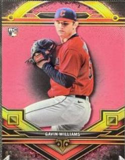 Gavin Williams