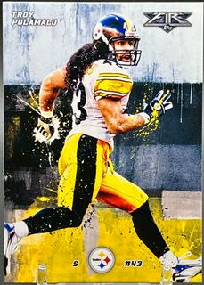Troy Polamalu