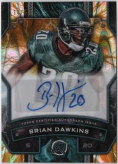 Brian Dawkins