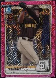 Taylor Trammell