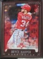 Bryce Harper