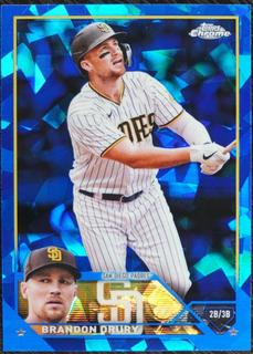 Brandon Drury