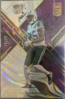 Brandon Marshall