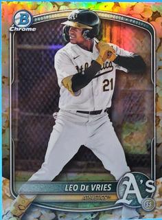 Leo De Vries