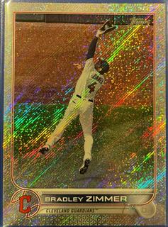 Bradley Zimmer