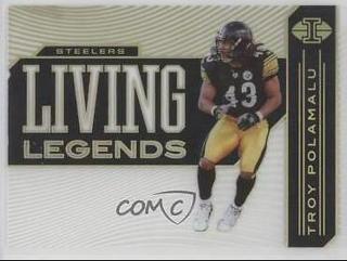 Troy Polamalu