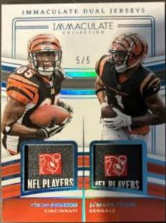 Chad Johnson / Ja'Marr Chase