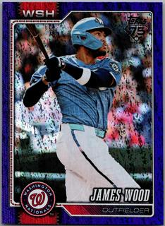 James Wood