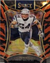 Tedy Bruschi